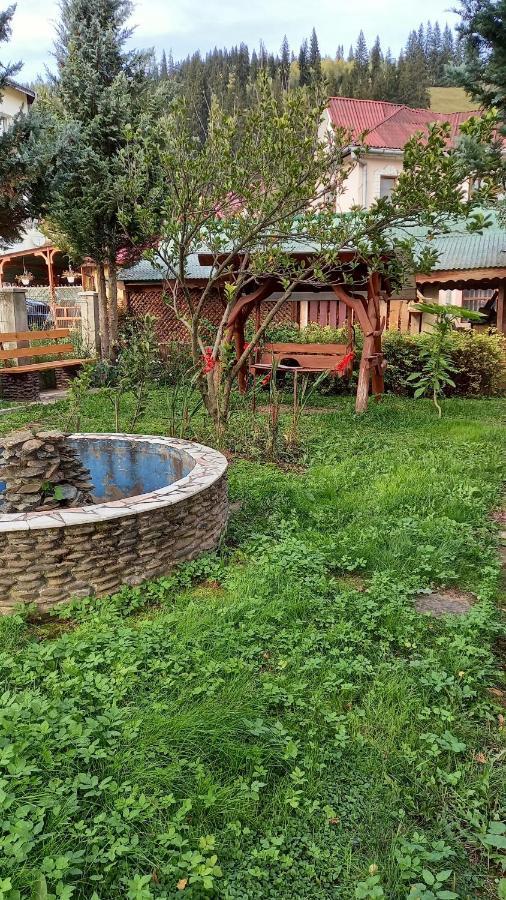 Casa Cu Lavanda Vatra Dornei Εξωτερικό φωτογραφία