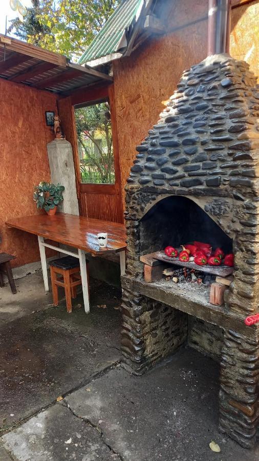 Casa Cu Lavanda Vatra Dornei Εξωτερικό φωτογραφία