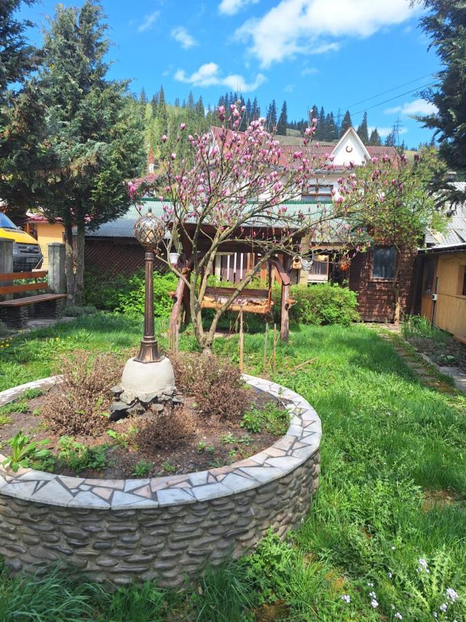 Casa Cu Lavanda Vatra Dornei Εξωτερικό φωτογραφία