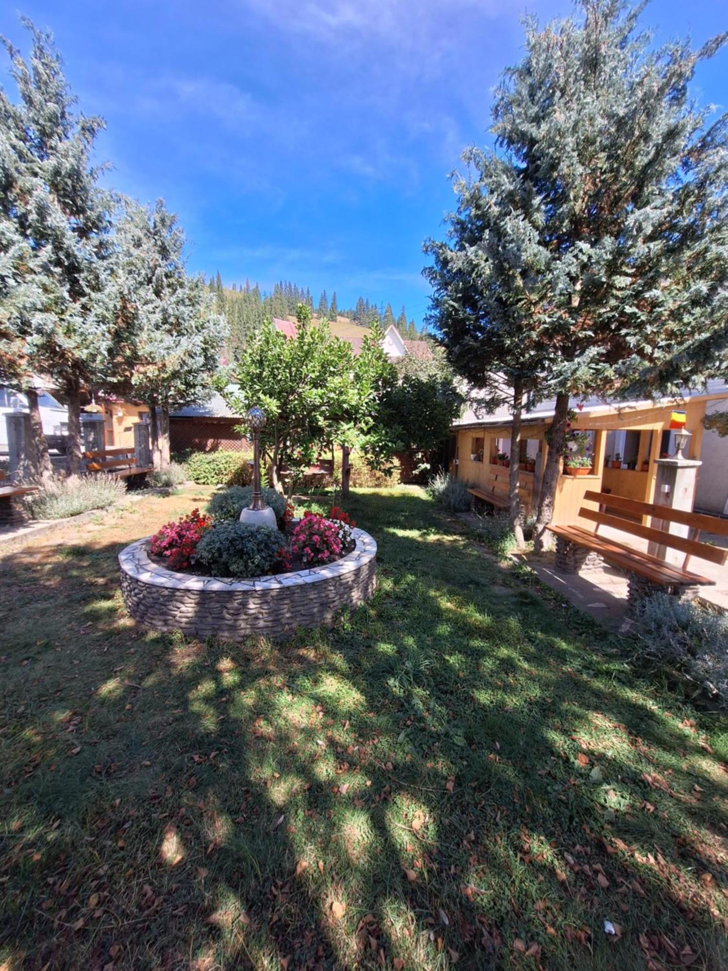 Casa Cu Lavanda Vatra Dornei Εξωτερικό φωτογραφία