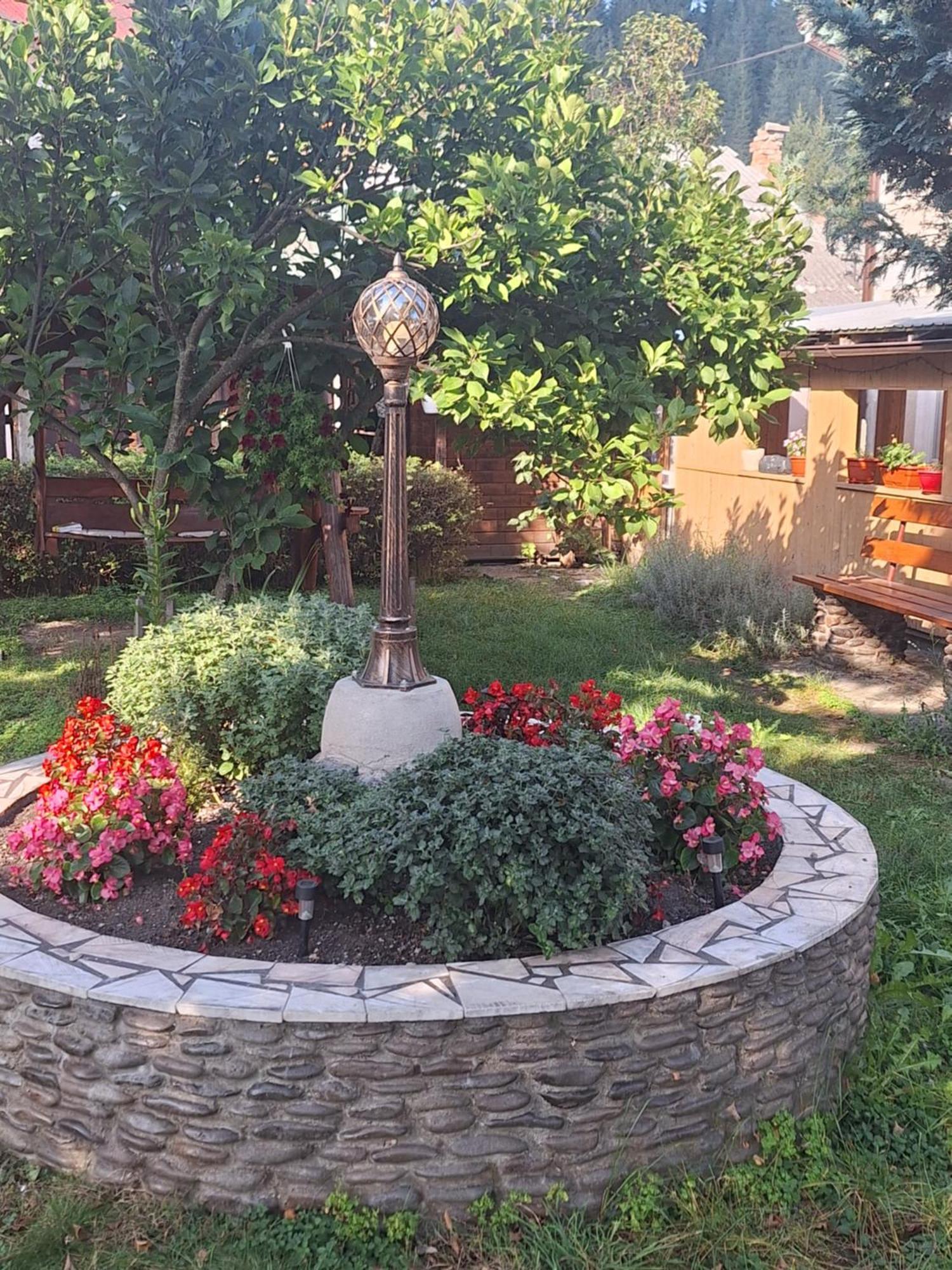 Casa Cu Lavanda Vatra Dornei Εξωτερικό φωτογραφία